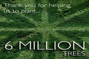 A-6-million-trees