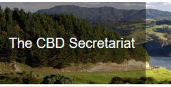cdb-secretariat-16.JPG